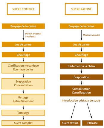 Fabrication du sucre de canne