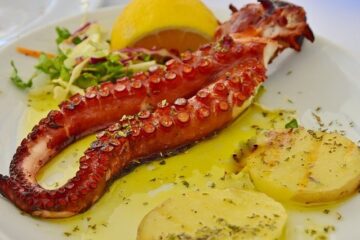 Astuce sur les calmars, seiches, poulpes……