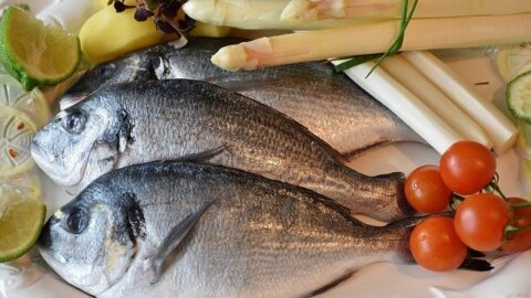 Les Poissons